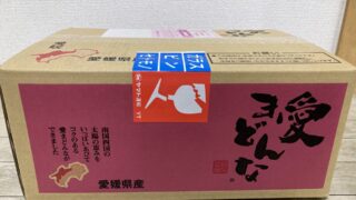 愛まどんな　楽天　箱
