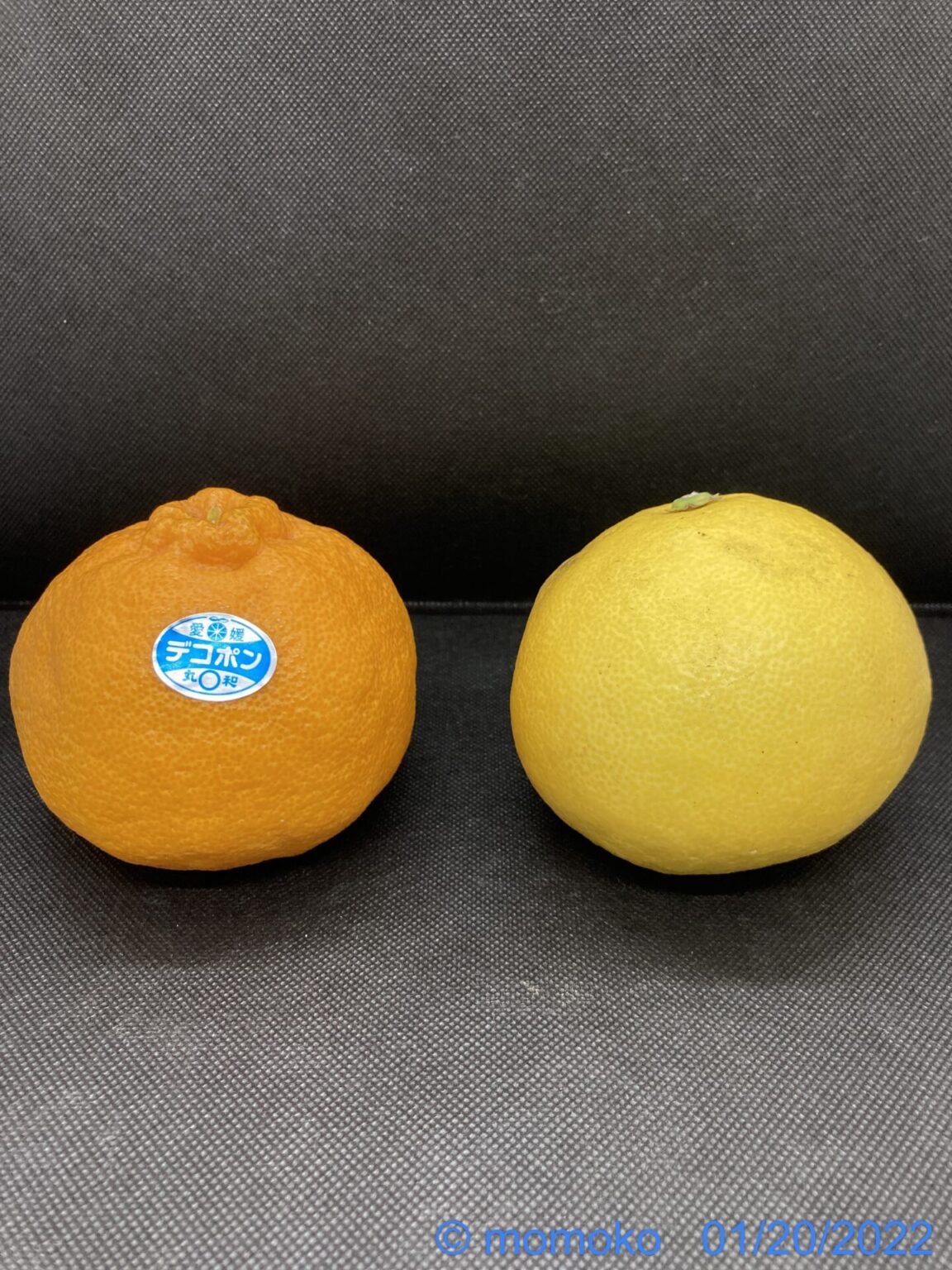 ポンカンとデコポン(不知火)、みかん･たんかん･いよかん･文旦の違い フルトビ