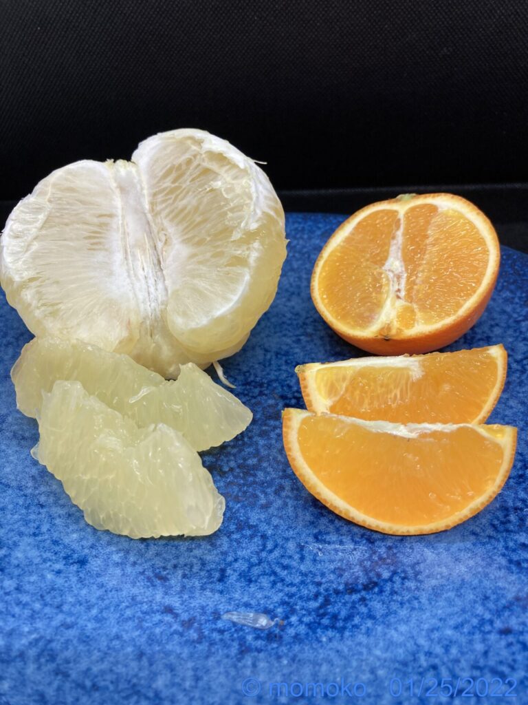 グレープフルーツ　オレンジ