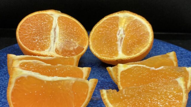 せとか　まどんな　カット