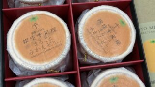 千疋屋　まるごとみかんぜりぃ　辛口レビュー