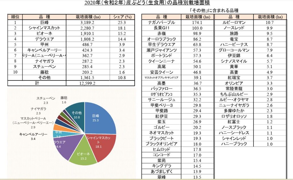 ぶどう生産量推移　令和2年