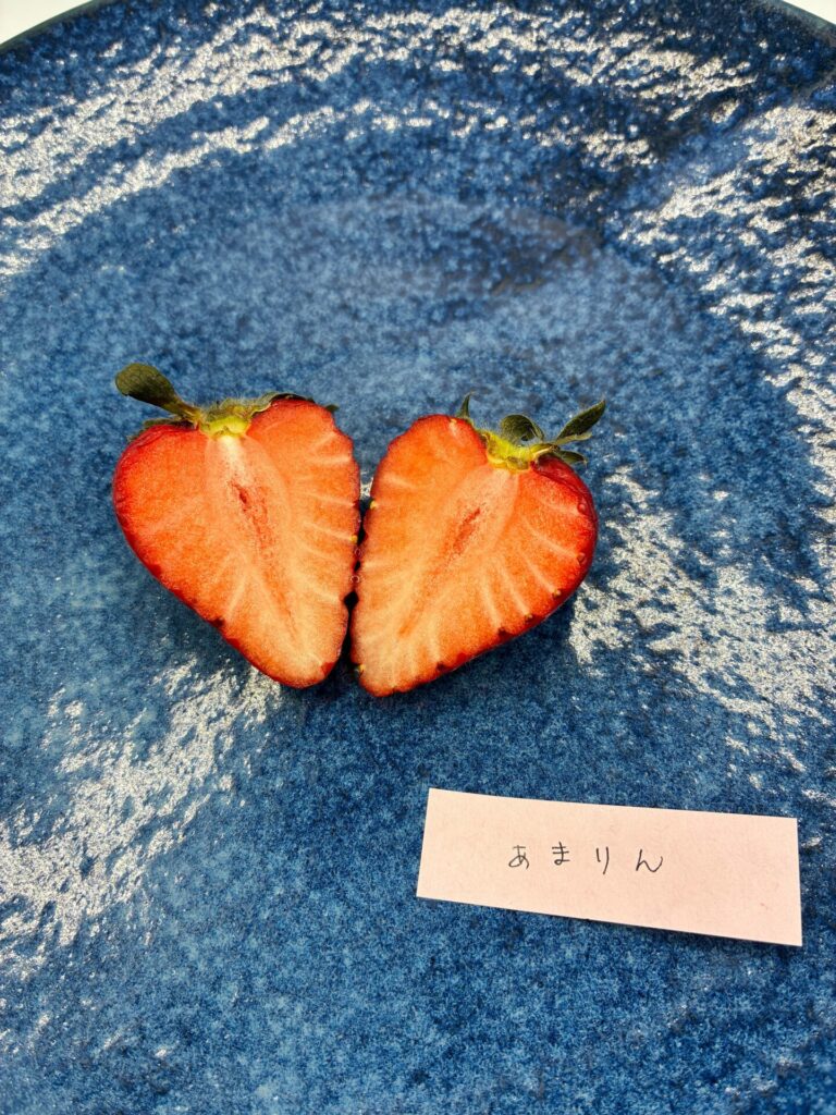 あまりん 断面