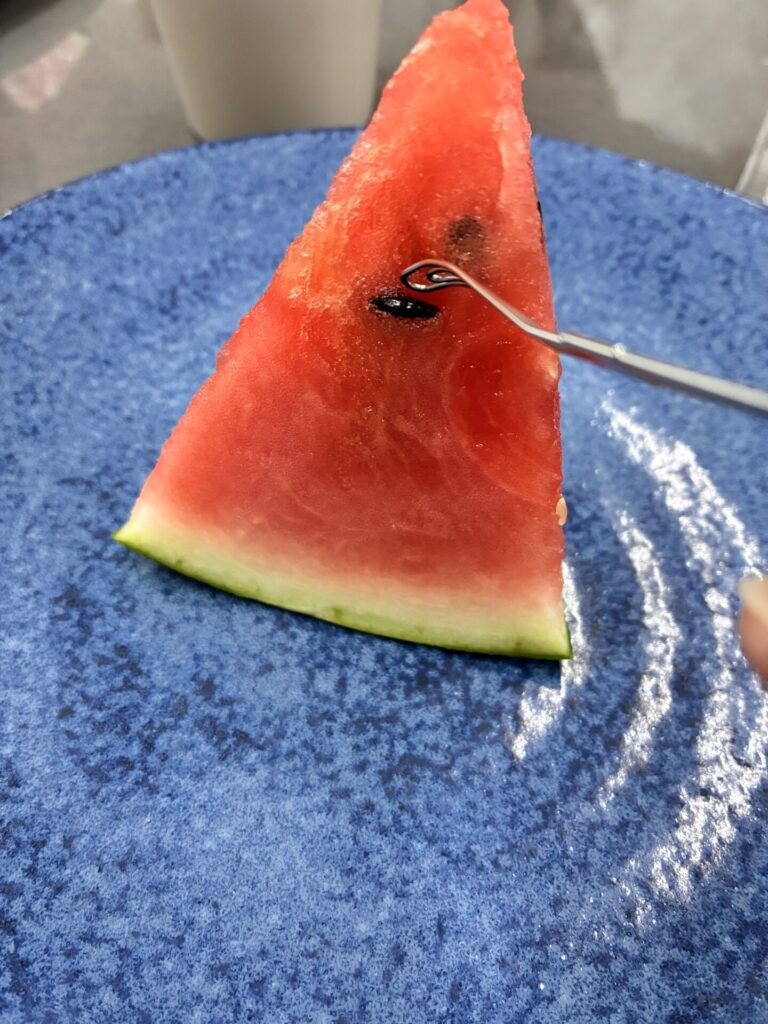 スイカの種取り