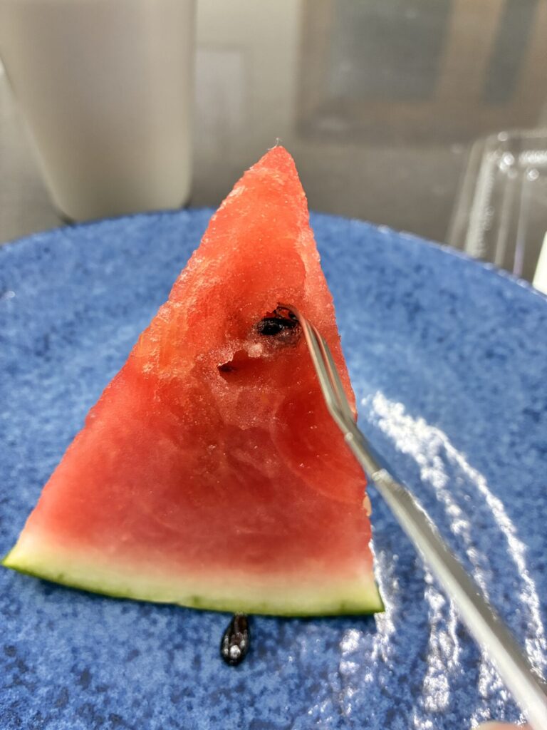 スイカ種取り