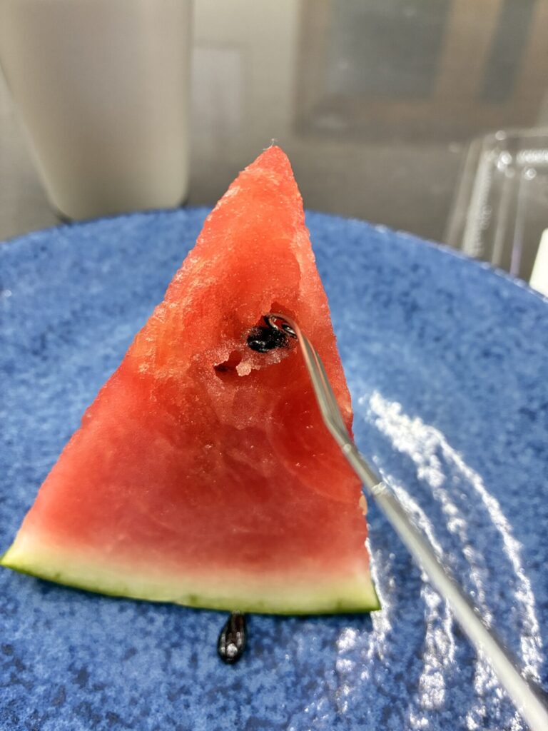 スイカ種取り