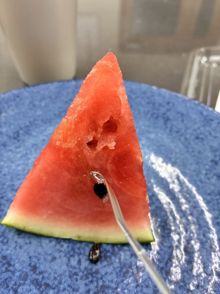 スイカ種取り