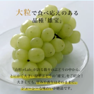 雄宝