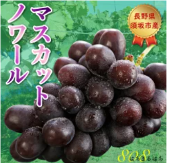 マスカットノワール