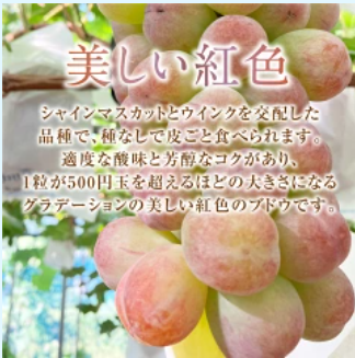 バイオレットキング